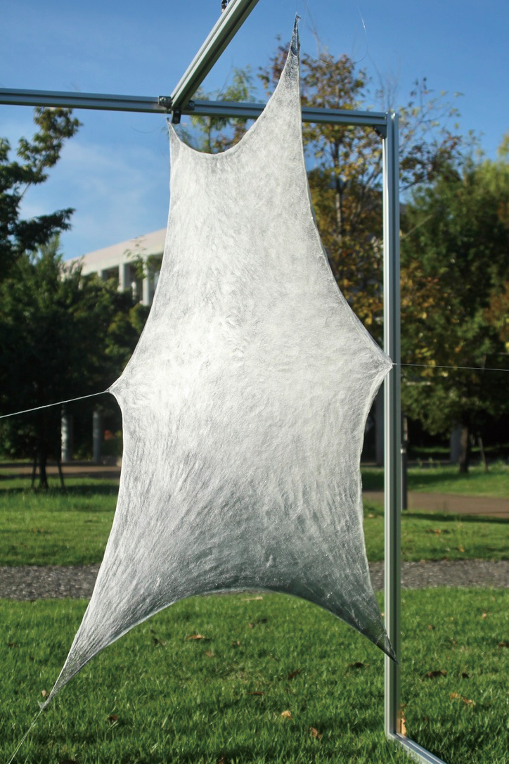 SILK-BioCraft Image 22